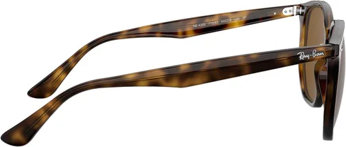 Vista 17 de Ray-Ban RB4306 Gafas de sol + paquete de accesorios Vision Group
