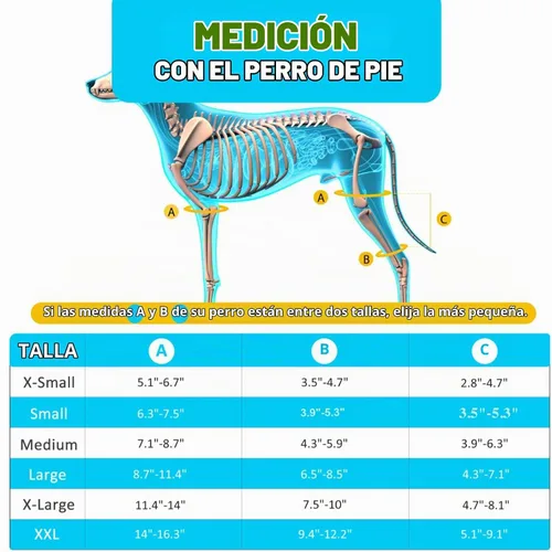 Vista 3 de Rodillera para Perro para Pata Trasera, Rodillera para Cuidado del Ligamento Cruzado para Perros, Soporte Extra ACL, Reduce el Dolor Articular