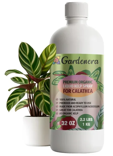 Vista 84 de GARDENERA Superalimento orgánico prémium de algas marinas y algas marinas para plantas AROID - 32 oz - Concentrado de fertilizante líquido de algas