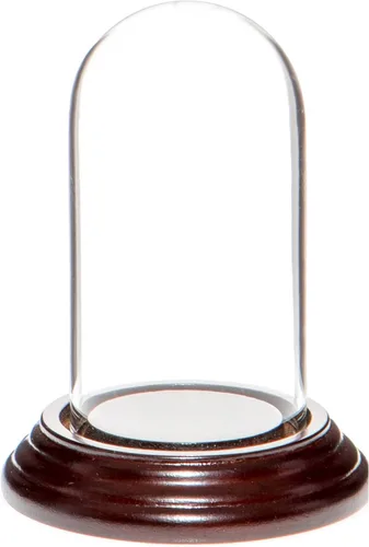 Vista 7 de Plymor Mini cúpula de cristal de 1.85 x 3.5 pulgadas (base de madera MDF negra)