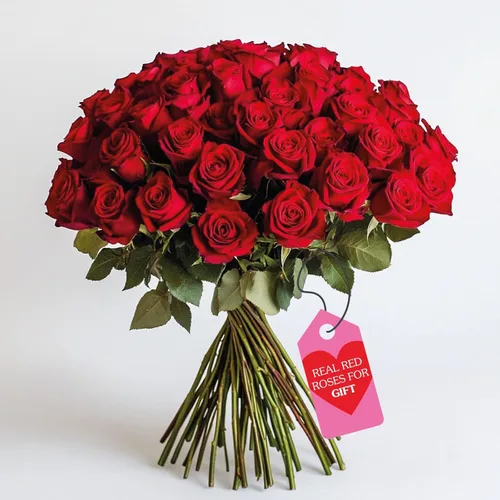 Vista 31 de GlobalRose Ramo de 50 rosas surtidas, rosas de origen responsable, flores frescas, ramo fresco de flores seleccionadas a mano para el día