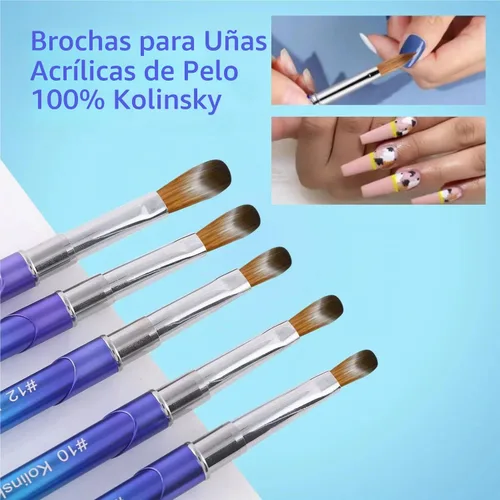 Vista 3 de Kolinsky - Brochas acrílicas para uñas 100% puras, punta ovalada prensada para polvo acrílico, mango de metal azul degradado, cepillo profesional