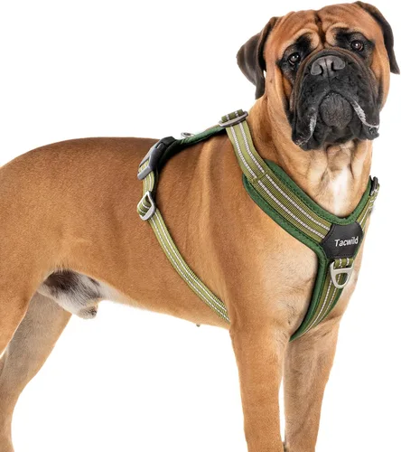 Vista 13 de Arnés sin tirones para perro, chaleco reflectante ajustable con broche de metal, malla suave transpirable sin estrangulamiento para cachorro, fácil
