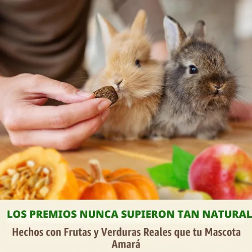 Vista 5 de DOC EDDIE'S Digestive Bites - Golosinas para animales pequeños a base de plantas para conejos, cobayas, hámsters, jerbos y más - Suplemento