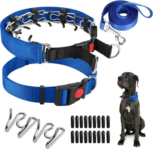 Vista 28 de Collar de entrenamiento de puntas con puntas cómodas y hebilla de cierre rápido – Collar de pellizco para perro con cubierta de nailon