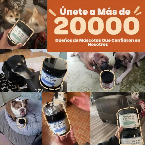 Vista 8 de ZEBORA Probióticos para perros, apoya la salud digestiva, 120 masticables suaves