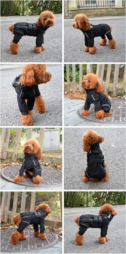 Vista 7 de Lovelonglong - Chaqueta impermeable para perros, ligera, impermeable, reflectante, resistente al viento, a prueba de nieve, para perros pequeños