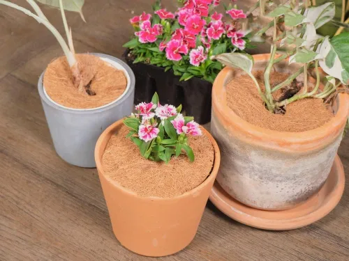 Vista 3 de Envelor 20 anillos de mantillo de fibras de coco, protector de árbol de 4 pulgadas, cubierta de mantillo de coco, anillos de control de malezas