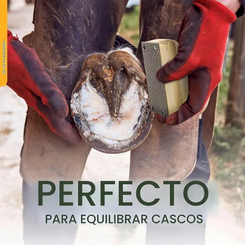 Vista 5 de Rural365 Escofina de herrador con mango de madera, mini lima de raspador de pezuñas - Suministros de herrador para caballos en miniatura, cerdos