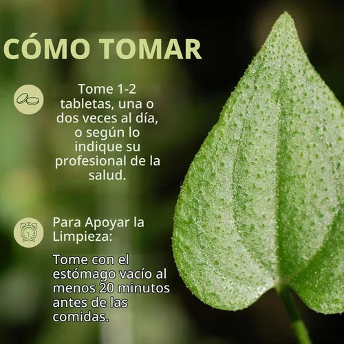 Vista 4 de Banyan botánicos Manjistha Tablets- USDA – rubia cordifolia – limpia la sangre y la Linfa – Ayurveda