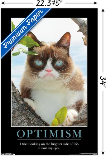 Vista 3 de Trends International Grumpy Cat - Póster de pared The Brighter Side, 22.375" x 34", versión premium sin marco