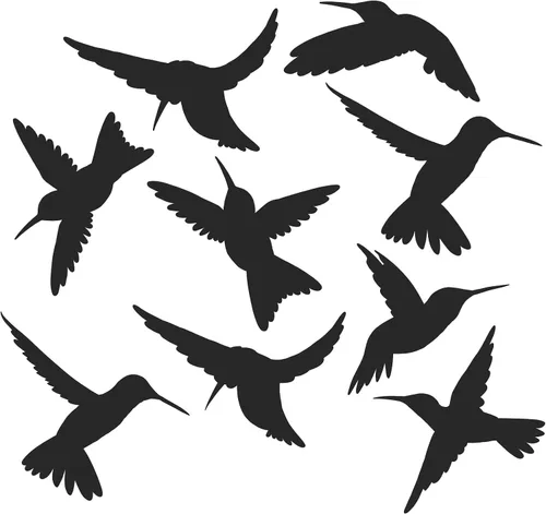 Vista 11 de 4 adhesivos para ventanas de colibrí para seguridad de vidrio en puertas, ventanas y paneles. Calcomanías para evitar golpes de pájaros. Fabricado