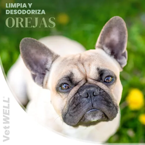 Vista 2 de VetWELL Limpiador de oídos para perros y gatos, enjuague ótico para infecciones y control de infecciones de oído y olores en mascotas, 8 onzas