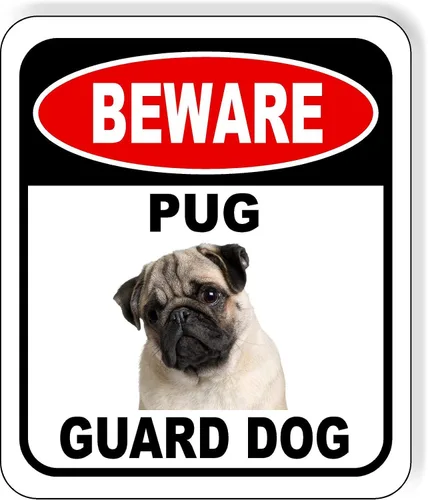 Vista 94 de BEWARE BASSETT HOUND GUARD DOG - Letrero compuesto de aluminio para exteriores, 8.5 x 10 pulgadas CUIDADO BASSETT HOUND GUARD PERRO