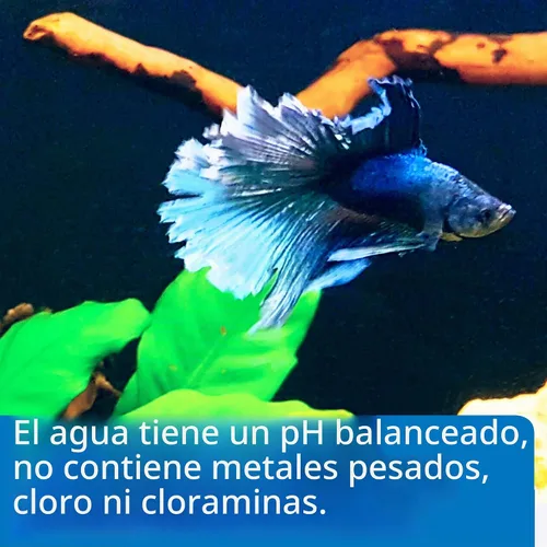 Vista 2 de API Agua para Betta, 64 OZ