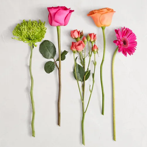 Vista 2 de 1800 flores – Ramo individual de flores vibrantes (florero transparente incluido) Flores de primavera recién cortadas para entrega Regalo