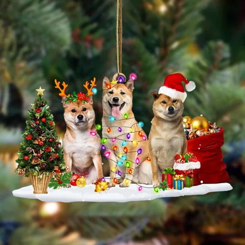 Vista 56 de Nazenti Adorno de Navidad personalizado con amigos Affenpinscher – Adorno de perro personalizado para amantes de las mascotas, acrílico plano
