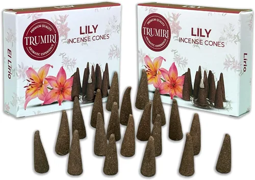 Vista 49 de TRUMIRI Incienso ámbar – Paquete de 20 conos (2 x 10) – Incienso de cono perfumado
