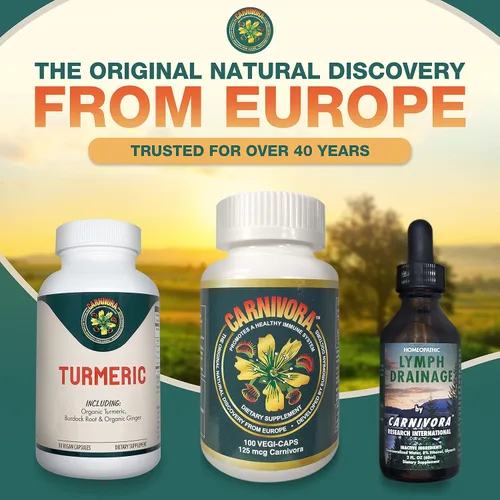 Vista 7 de Carnivora Cúrcuma - Apoyo para las articulaciones y la salud digestiva (90 cápsulas veganas)