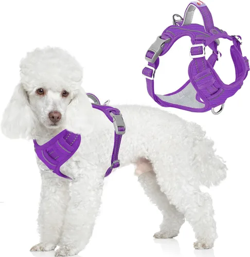 Vista 11 de BARKBAY Arnés Oxford sin tirones para perro con bolsillo para etiqueta de identificación, resistente, reflectante, fácil control para perros grandes