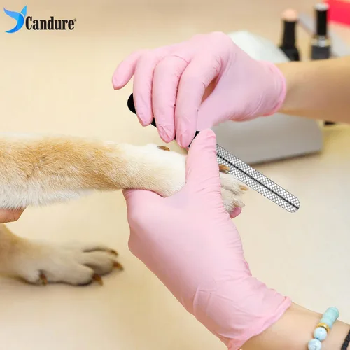 Vista 5 de Candure Cortauñas para mascotas, azul brillante, mascotas medianas a
