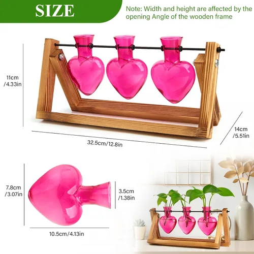 Vista 2 de XXXFLOWER Estaciones de propagación de terrarios de plantas, regalos únicos para mujeres, esposa, mamá, amantes de las plantas, 3 jarrones