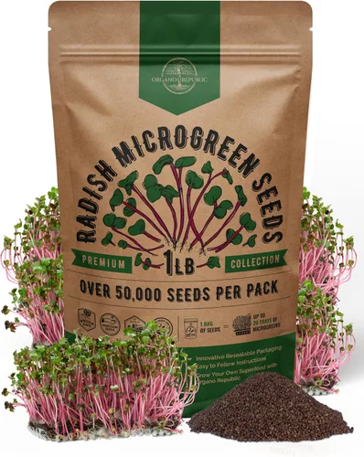 Vista 12 de Organo Republic Semillas de Rúcula para Germinación y Microgreens - Kit de Semillas de Brotes Sin OGM, Reliquia, Bolsa Resellable de 1 libra