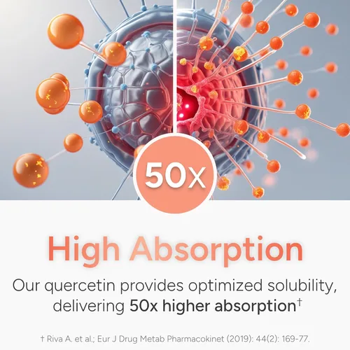 Vista 4 de Quercetina de alta absorción con bromelina, vitamina C y zinc – 500 mg de fitosoma de quercetina – 50 veces más absorción – Apoya la función inmune
