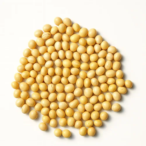 Vista 2 de Crazy Nuts Soja sin OGM cultivada en EE. UU., 5lb Soja para leche de soja y tofu
