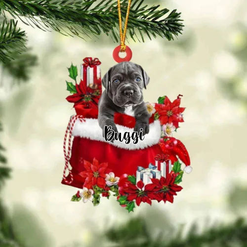 Vista 41 de Perro Akita Inu personalizado en bolsa de regalo, adorno de Navidad, nombre personalizado, regalo para amantes de los perros, familia, Navidad