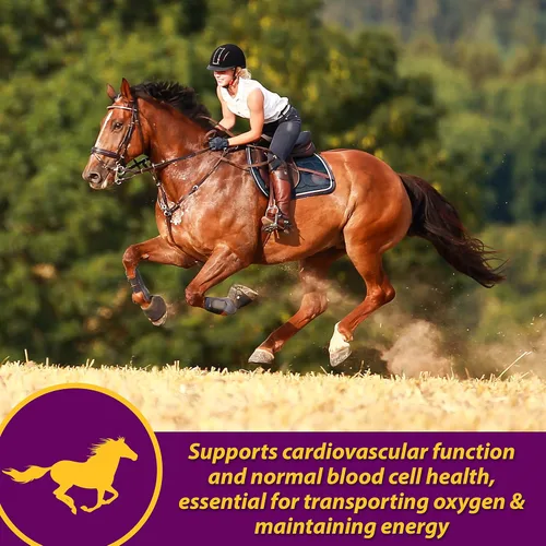 Vista 2 de Farnam Horse Health - Gránulos de glóbulos rojos, suplemento de vitaminas y hierro y minerales para caballos, ayuda a llenar importantes lagunas