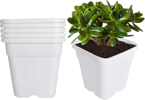 Vista 15 de Macetas cuadradas para vivero, macetas de cultivo para plantas de suelo, 0.63 galones, 10