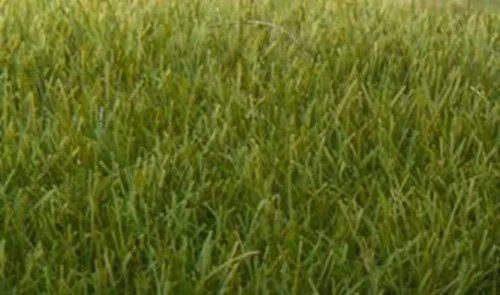 Vista 2 de Woodland Scenic Static Grass 0.276 in-Verde Oscuro -FS621