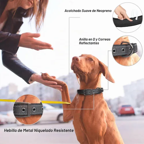 Vista 2 de PetiFine Collares para perros pequeños, collar acolchado de neopreno, collares reflectantes resistentes para mascotas con hebilla de cinturón