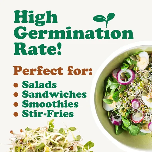 Vista 6 de Mezcla de ensalada orgánica de semillas germinantes, 10 libras, brócoli sin OMG, rábano, trébol, alfalfa. Rica tasa de germinación, no irradiada