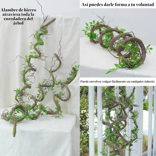 Vista 7 de 71 "enredaderas de selva flexibles, guirnalda de musgo verde