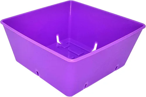 Vista 9 de Bootstrap Farmer Paquete de 40 bandejas de cultivo de 5 x 5, insertos extra gruesos para microverdes, pasto de trigo y propagación de plántulas