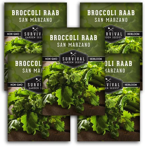 Vista 11 de San Marzano Raab - Semillas de brócoli Rabe para plantar, variedad italiana de rapiña, verduras de temporada fría de rápido crecimiento, favorito