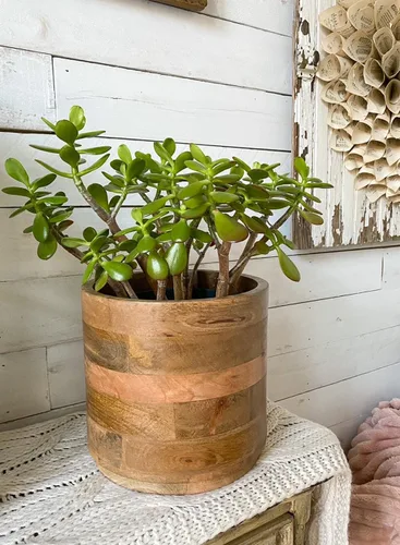 Vista 2 de Serene Spaces Living Macetero grande de madera de mango marrón, maceta de madera natural para flores y plantas sintéticas, plantas