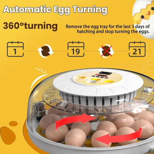 Vista 3 de 18 incubadoras de huevos para incubar huevos, volteador automático de huevos y probador de velas de huevos, vista de 360 grados, incubadora
