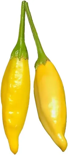 Vista 2 de Semillas de pimiento limusino ají andino, chileno picante sin OMG con sabor a limón