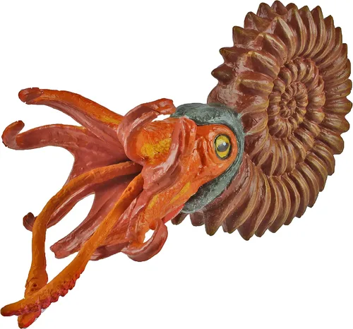Vista 4 de Safari Ltd. Figura de amonita - Figura detallada de moluscos marinos de 5.25 pulgadas, juguete educativo para niños, niñas y niños a partir de 3 años