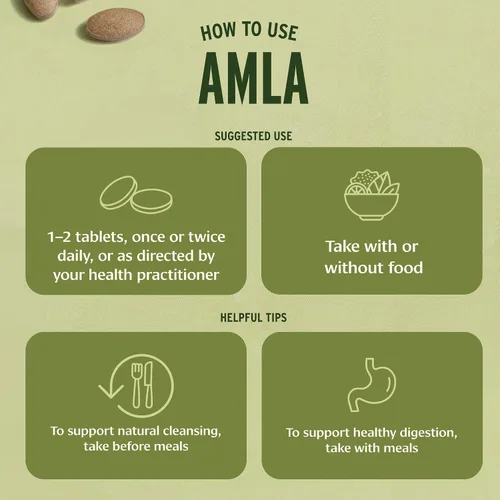 Vista 7 de Banyan Botanicals Tabletas orgánicas de Amla – Vitamina C natural para apoyo de colágeno y salud inmunológica – Grosella espinosa india Amalaki
