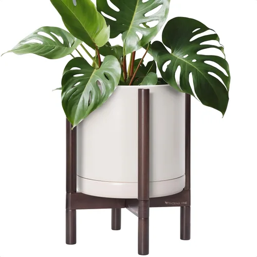 Vista 52 de D'vine Dev Maceta de cerámica con soporte de ébano – Maceta redonda moderna de 8 pulgadas con soporte para maceta de madera, color negro, 55-B-M-2