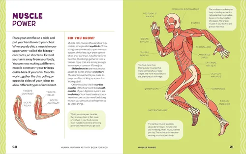 Vista 6 de Human Anatomy Activity Book for Kids Hands-on Learning for Grades 4-6