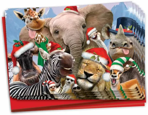 Vista 12 de NobleWorks Paquete a granel de 36 tarjetas de felicitación divertidas de Navidad con sobres, tarjetas divertidas en caja para perros y mujeres