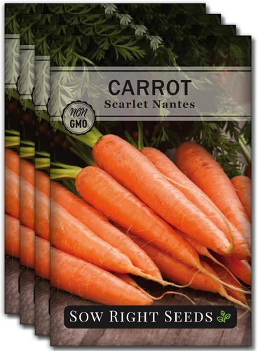 Vista 9 de Sow Right Seeds - Semilla de zanahoria Scarlet Nantes para plantar - Paquete de reliquia sin OMG con instrucciones para plantar un huerto casero