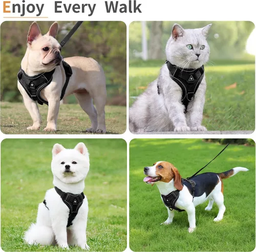 Vista 6 de Arnés para perro Jolifield sin tirones con juego de correa para perros pequeños, arnés de chaleco para gatos con clip frontal ajustable reflectante