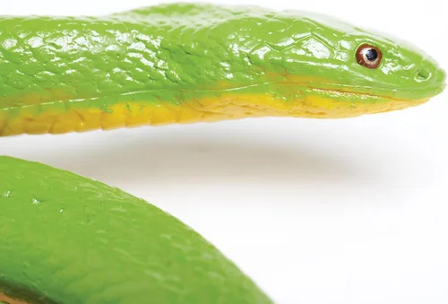 Vista 2 de Safari Ltd. Figura de serpiente verde áspera, figura detallada de plástico de 36 pulgadas, divertido juguete educativo para niños, niñas y niños a