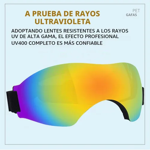 Vista 5 de Gafas de sol para perros pequeños, gafas para perros con correa ajustable, protección UV, adecuadas para perros pequeños Estilo liso-Multicolor
